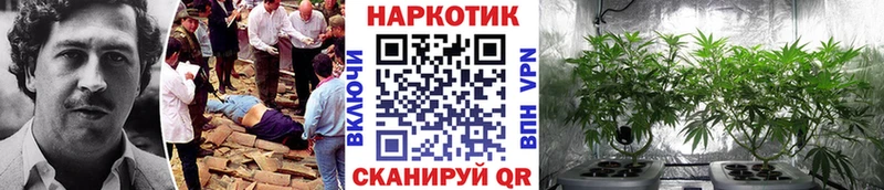 Купить ГАШ  Лсд 25  МЕФ  Прокопьевск