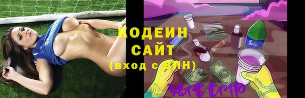 хмурый Инсар