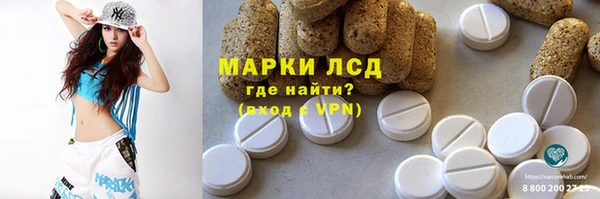 хмурый Инсар