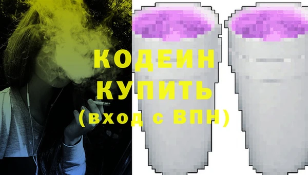 хмурый Инсар