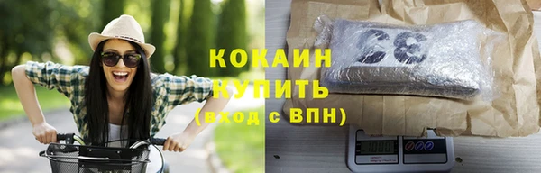хмурый Инсар