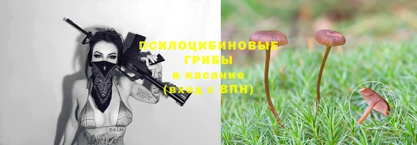 ешки Иннополис