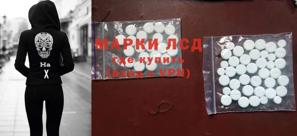 хмурый Инсар