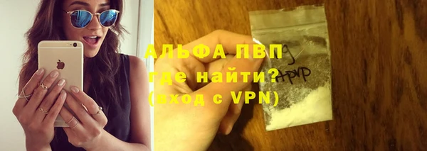 хмурый Инсар