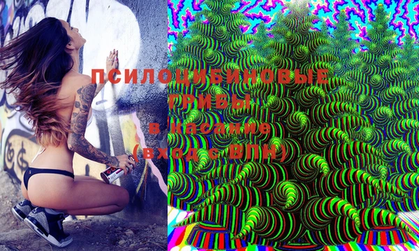 ешки Иннополис