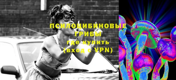 ешки Иннополис
