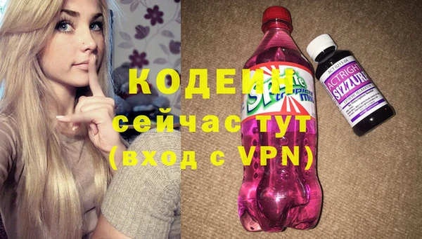 хмурый Инсар