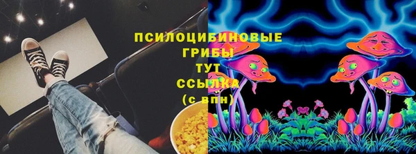 mdpv Инта