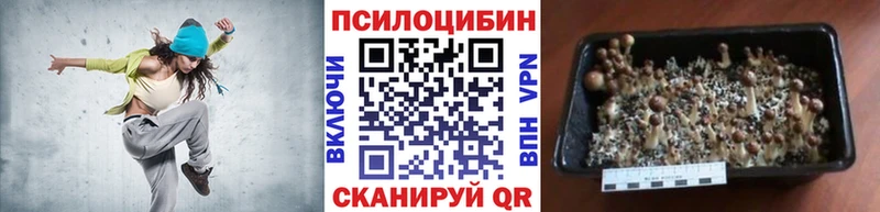 Галлюциногенные грибы GOLDEN TEACHER  Купить закладки  Прокопьевск 